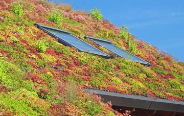 Siddington Heath living roof systems